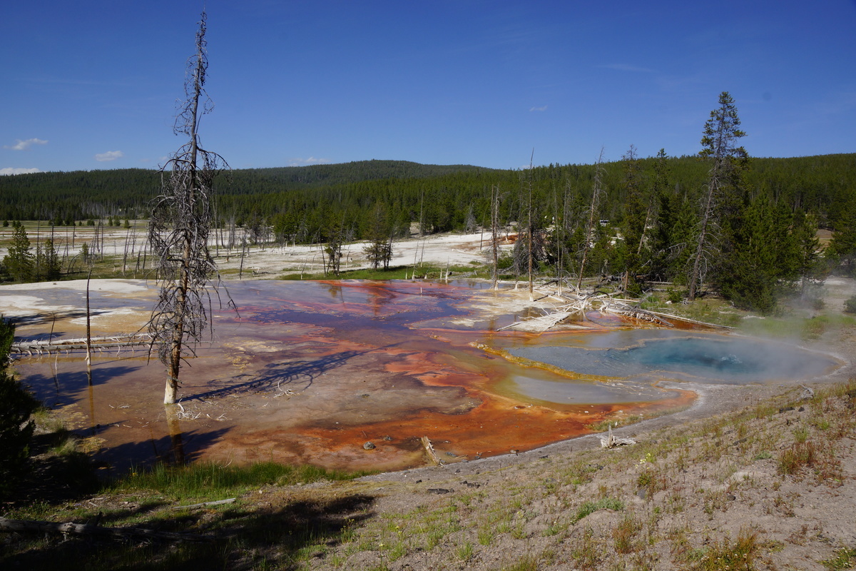 Celestine pool