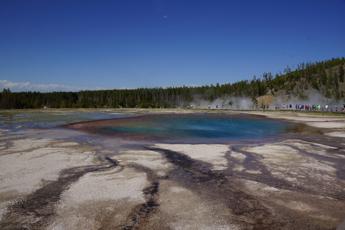 Turquiose Pool