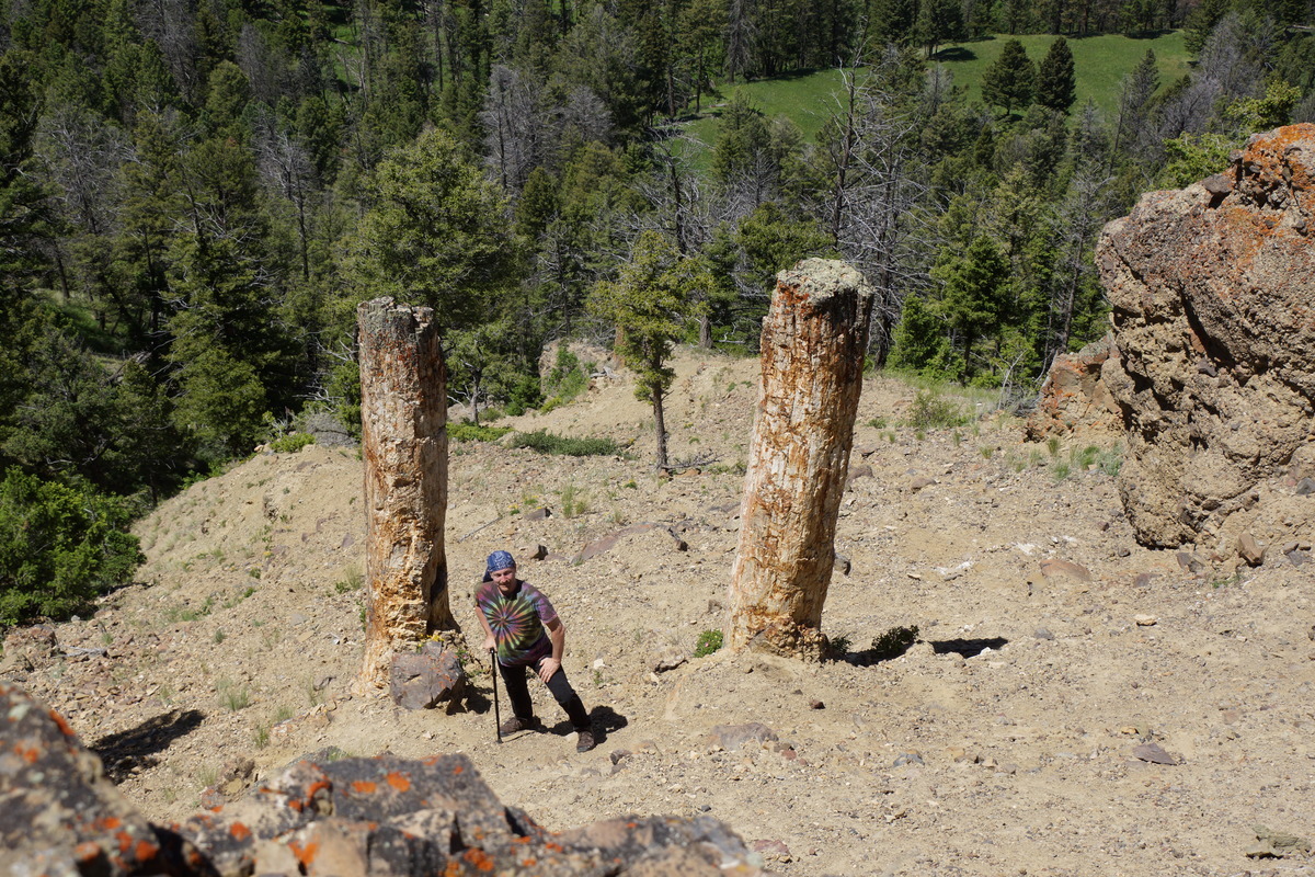 Eric with petrified trees