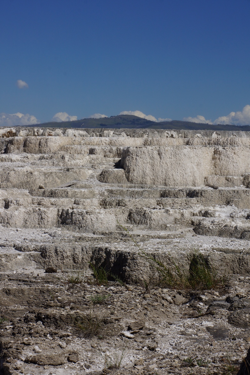 Mammoth Hot Springs