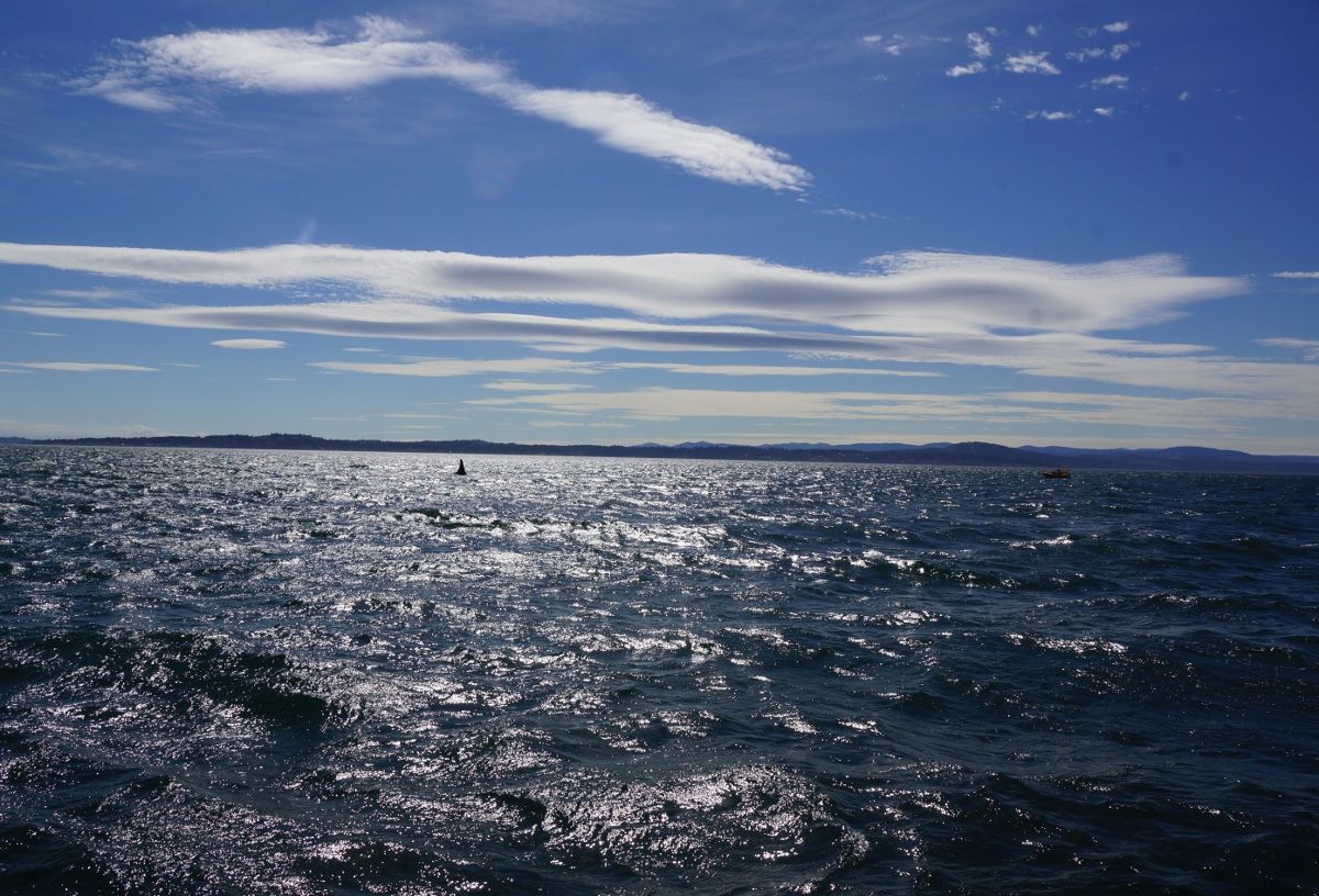 orca with clouds