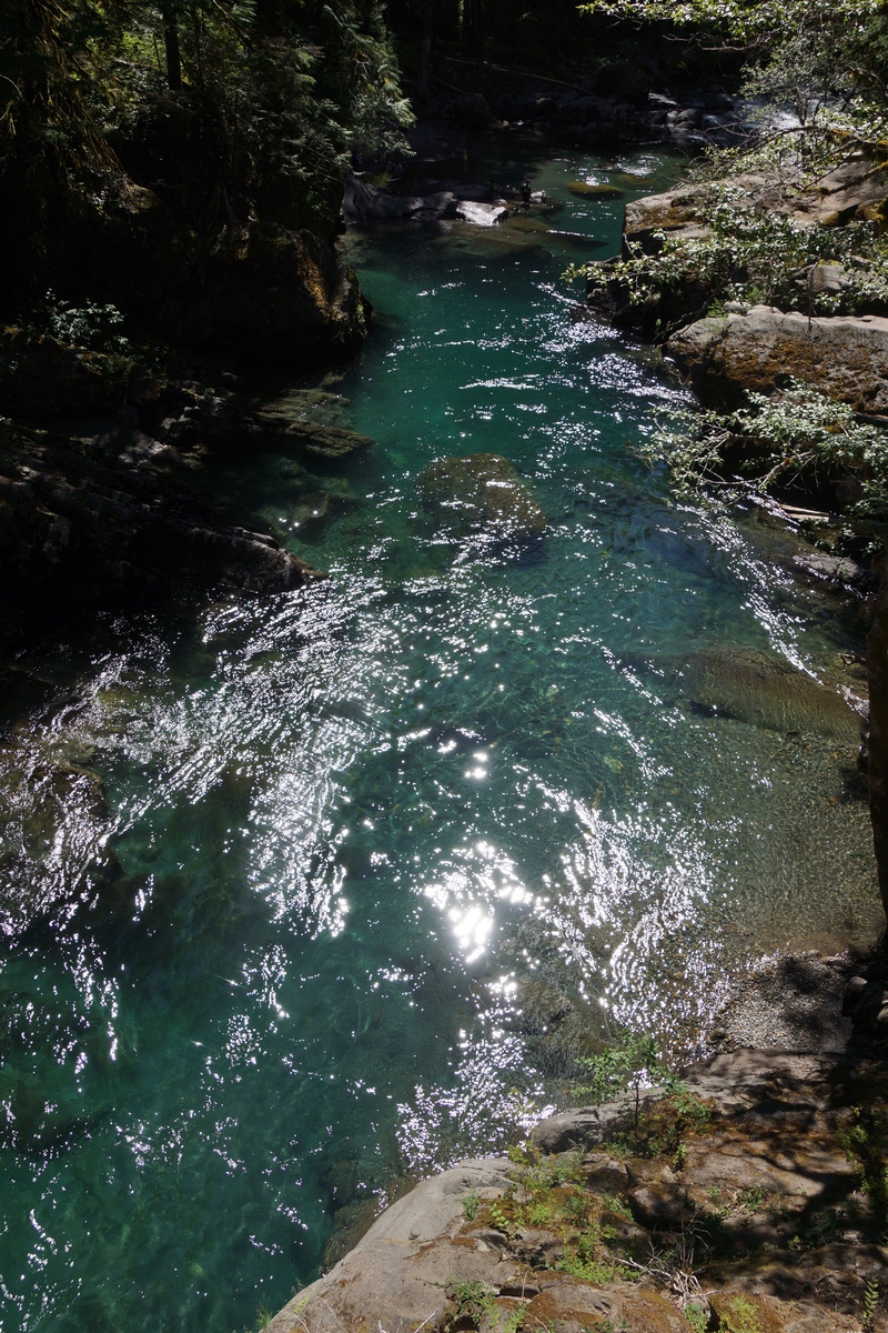 Ohanapecosh river