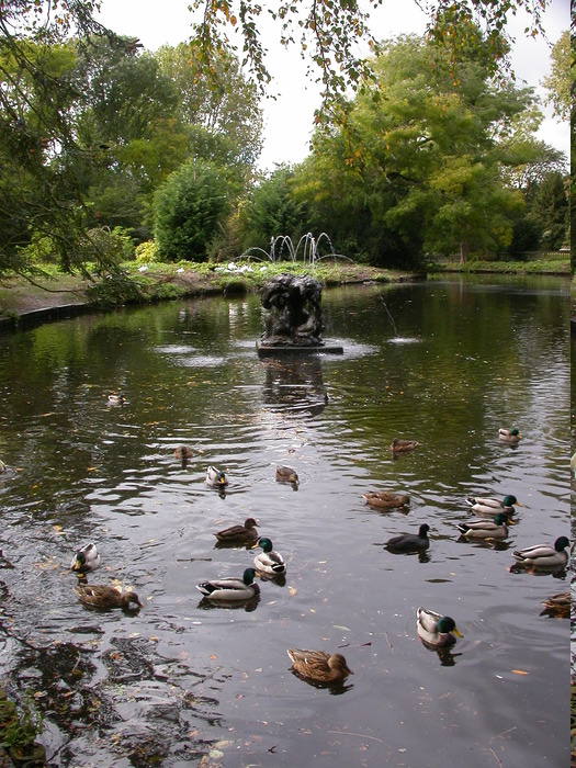 birds in the Beatrixpark