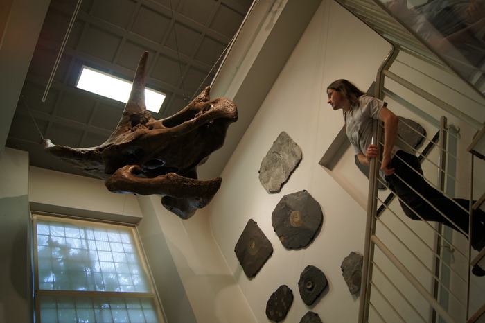 Eric with triceratops