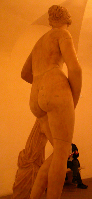 Palazzo Altemps, Rome, Cnidian Aphrodite