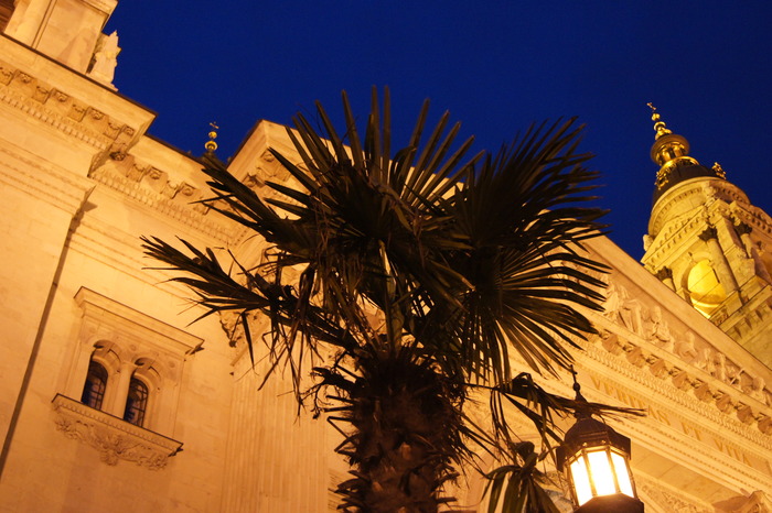 Saint Stephen Basilica with palm