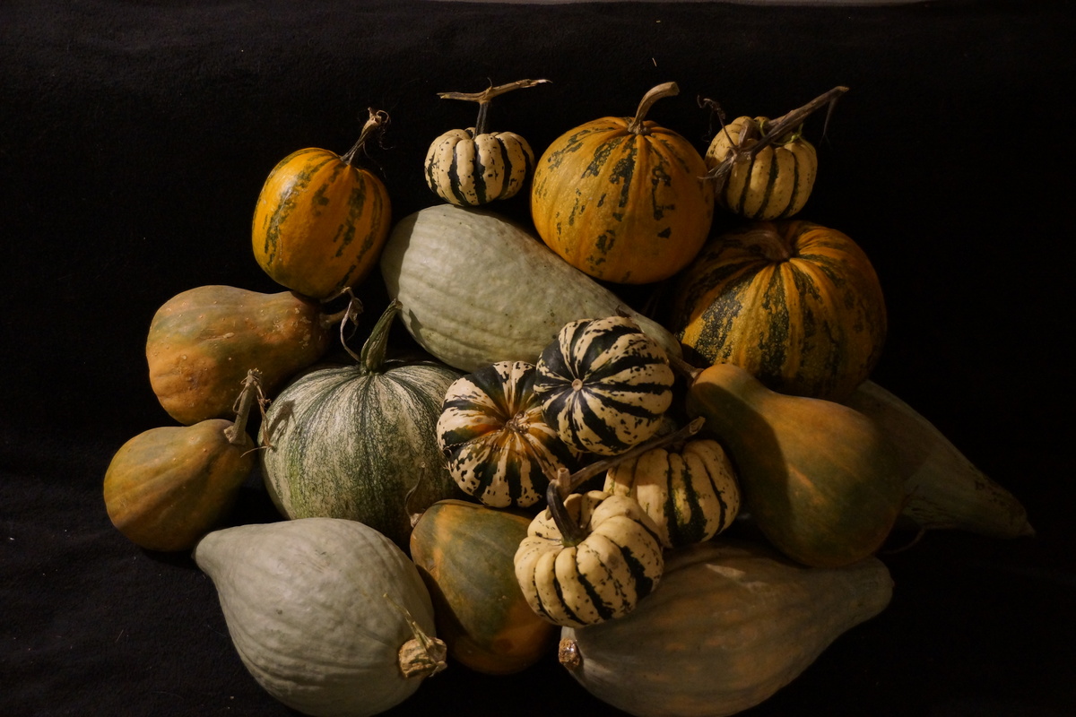 pumpkins