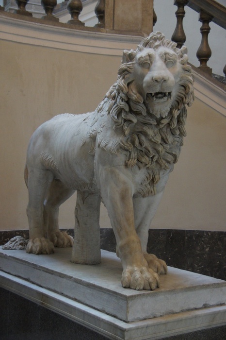 lion