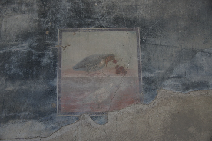 fresco of a bird pecking at cherries