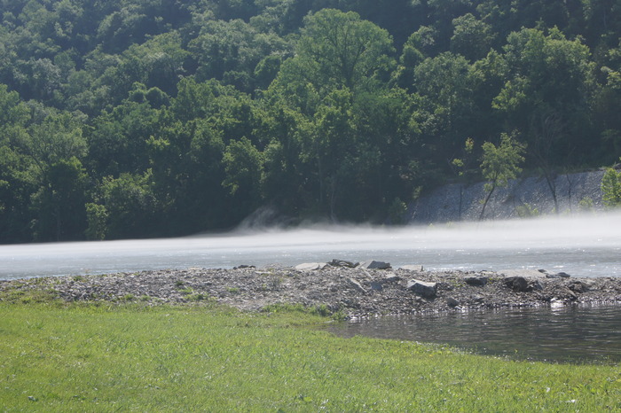 fog on the water