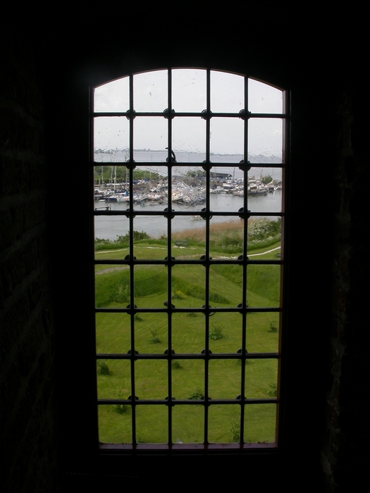window