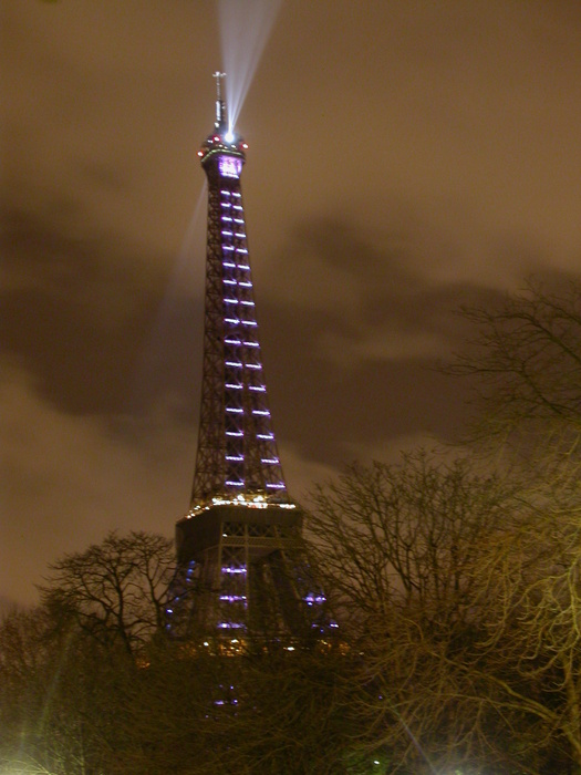 Eiffel tower wild colors