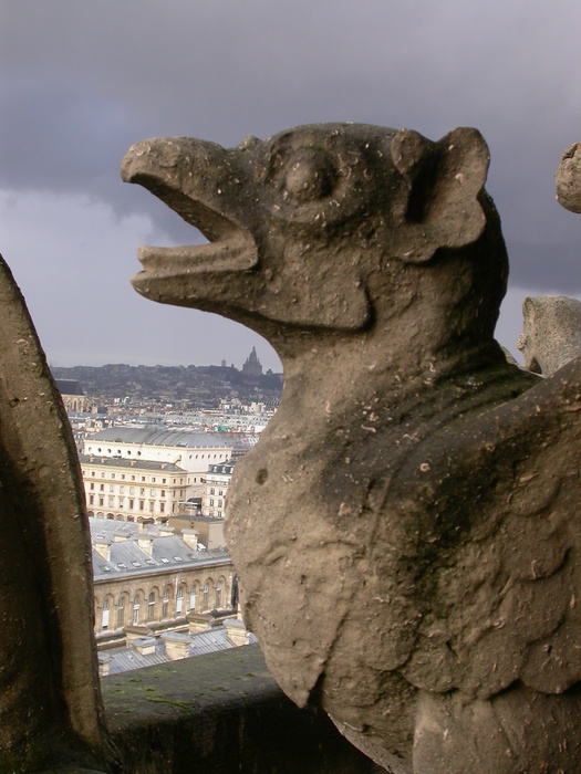 bird with Sacre Coeur