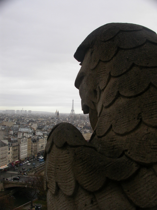 bird Eiffel