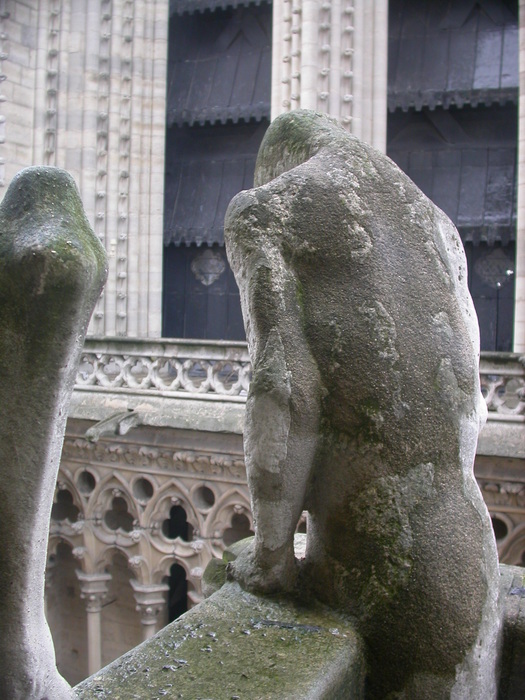 'goyle got back