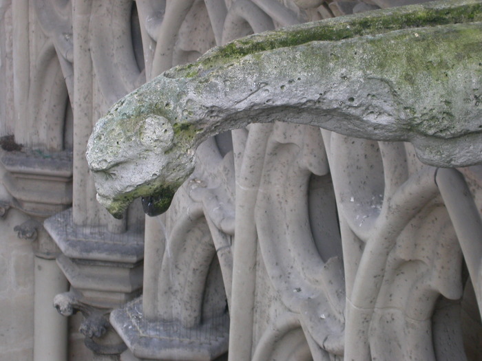 decaying waterspout