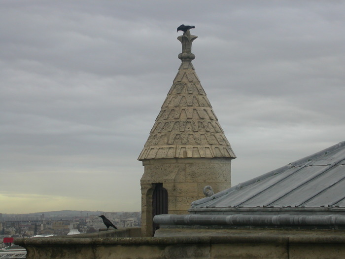 gothic crows