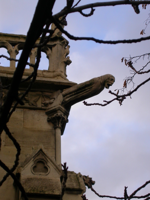 human gargoyle