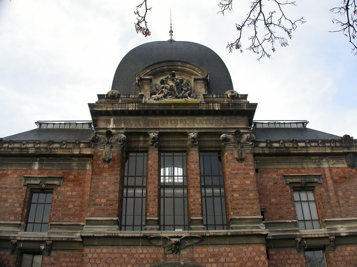 Museum d'historie-naturelle