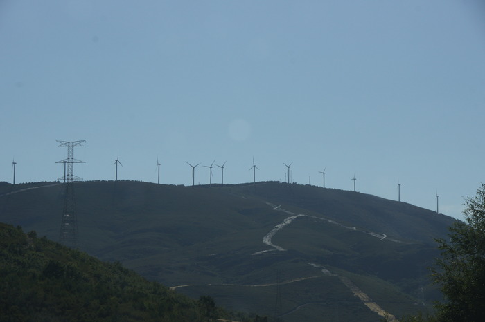 windmills