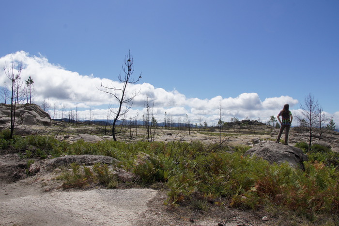 burn area, Portugal