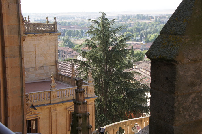 view from cathedral roof