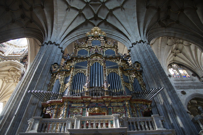 organ