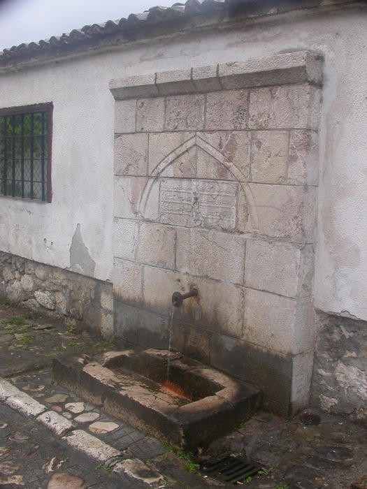 fountain