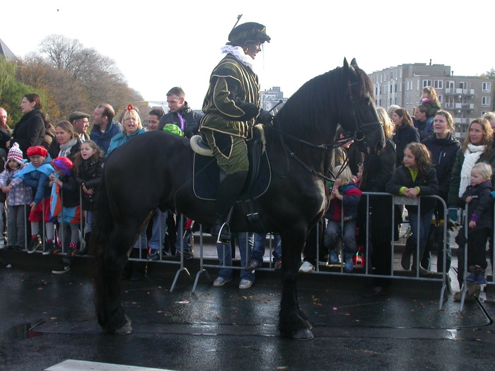 posing horse