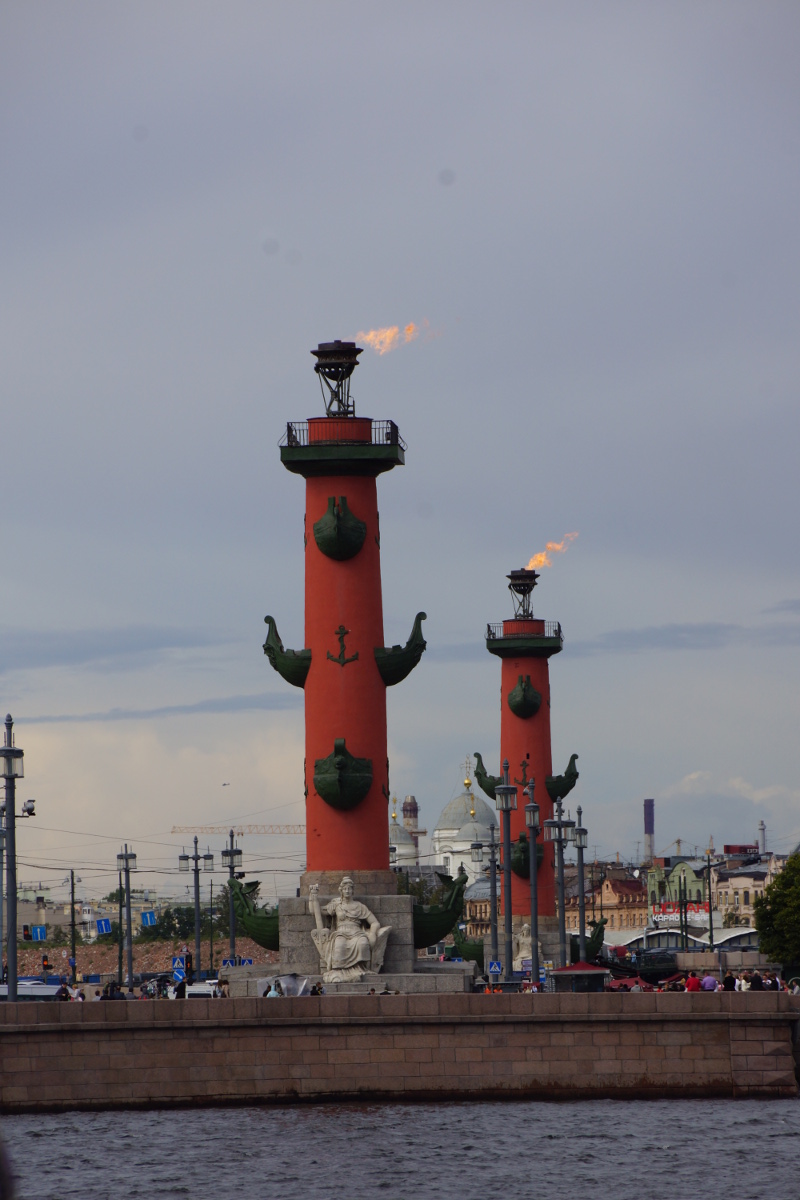 rostral columns