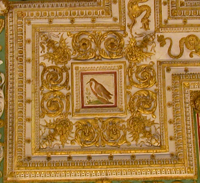 Vatican, bird painting