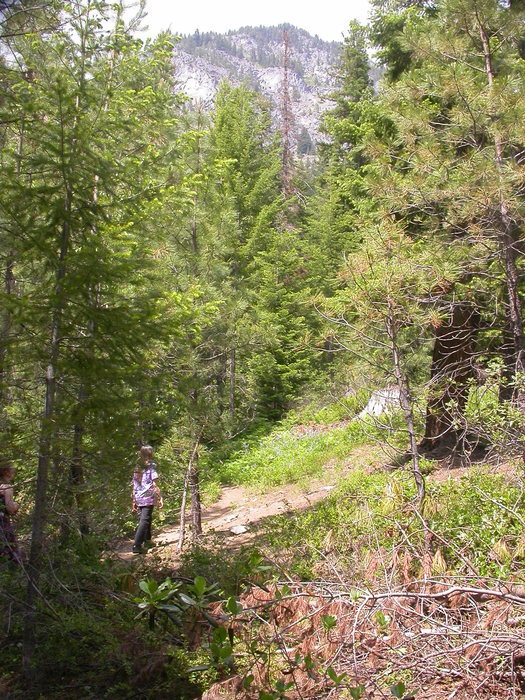 eric in the woods