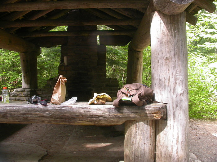 Boletus at Chatter