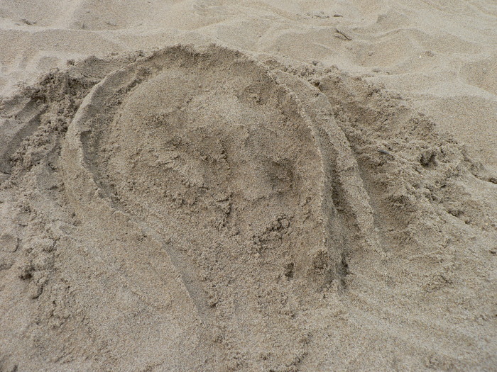 sand dragon