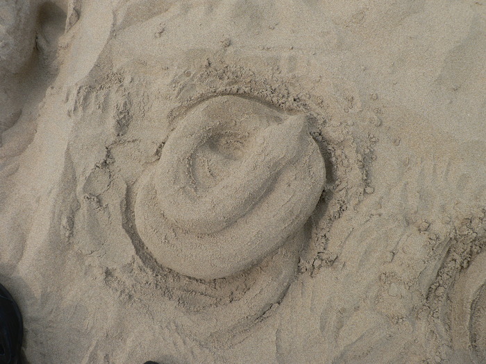sand snake