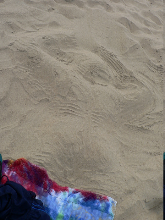 eric sand