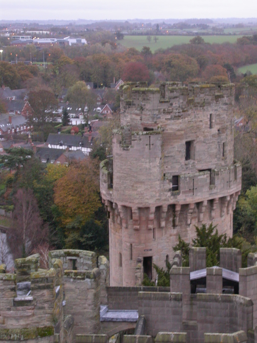 mossy tower