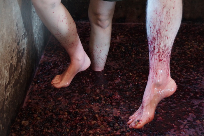 feet in the wine
