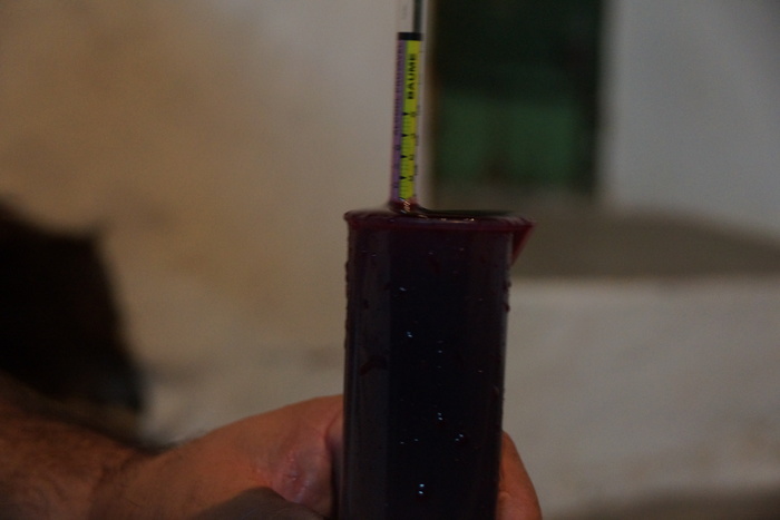 hydrometer